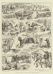 Eine Kamelgeschichte, eine Tatsache von der Grenze